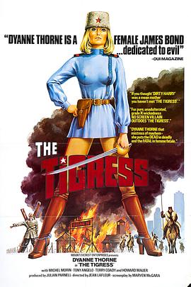 泰州网站建设哪里有优化